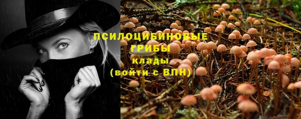 трава Верхнеуральск